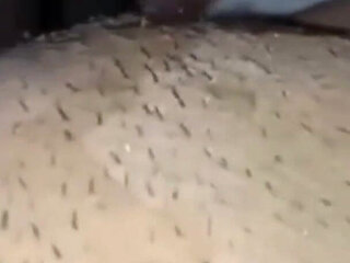 Indian Hairy Tight Pussy Fucked so Hard Neighbor