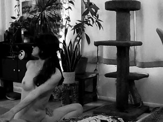 Amateur blowjob close up