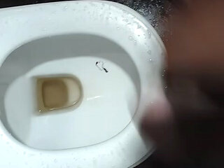 Young gay toilet Masturbation
