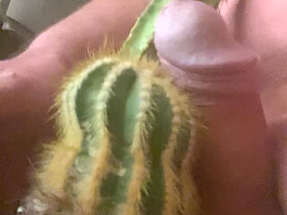 Cactus fuck
