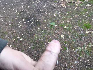 Public Masturbating and cumming in the Woods