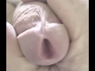 Lick my pre-cum