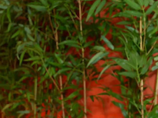 Lesbian Spit Swallow Trio - Swallow Liters of Finest Spit