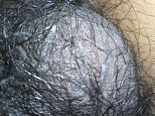 Mere land ka aaj pani nikal gaya