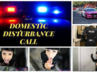 DOMESTIC DISTURBANCE CALL