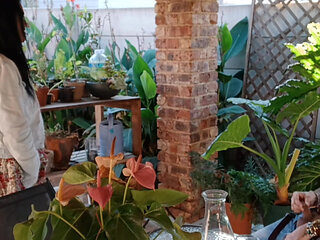 Outdoor fun with my neighbours cuckold wife