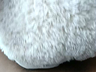 She Sucks me well and made me cumm white cream hot load!!!