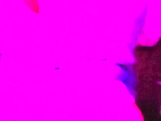 My stepsister wears a short skirt without panties I lift her up and fuck her on all fours while she moans