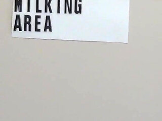 Bossy Josey Volume 1 Featuring Josey