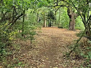 Clapham Common cruising trails - June 2025