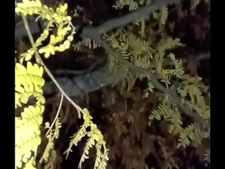 I'_m a jolly good fellow while smiling with yellow trees and anal ending