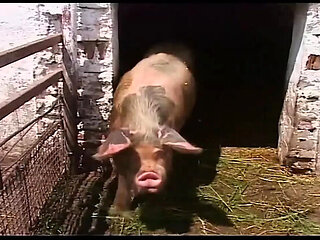 Vintage Blonde MILF Gets Rough Outdoor Fuck on Farm - Big Tits & Hardcore Anal