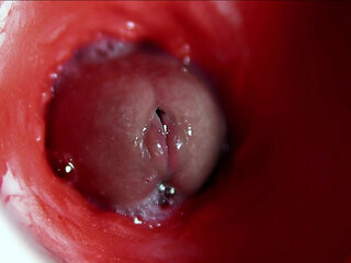 A big beautiful cock flows abundantly inside a wet slippery hole and smacks!