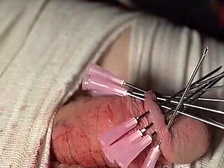 A Crown of Needles, the Only Crown You Will Ever Wear!