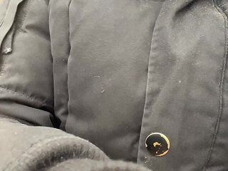 Pee Sexy on the Forest so Cool