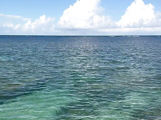 We Had an Adventure Into the High Seas