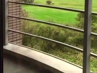 Married Japanese MILF gives sloppy blowjob on smartphone