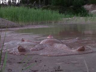 Mud Bath in Deep Quarry Mud Pond