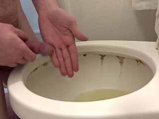 Piss and toilet play