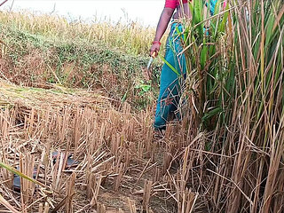 First Time Desi Bhabhi Fucked Hard in Paddy Fields - Homemade Indian Sex