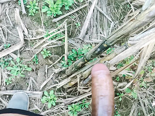 Lund wali ladki ne ki virya ki bauchhar