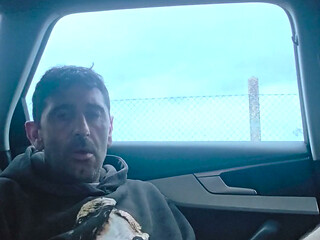 In Public, in the Car