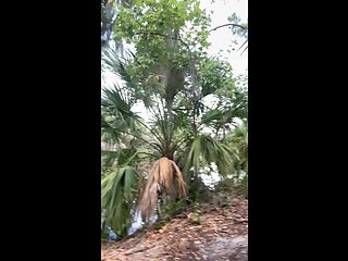 Outdoor Trail Peeing