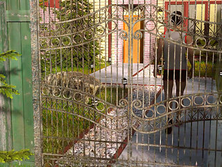 Nursing back to pleasure: wife got caught cheating her husband with another woman ep 79, 80