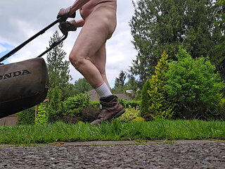 Lawn Service Again