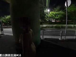 Amateur emiri struts her stuff at the bridge and exposes herself on the road.