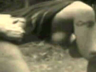 Trailer307