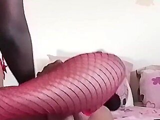 Stepsis Needs Cock (unedited Version)