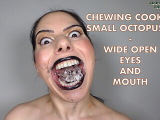 Chewing Cooked Small Octopuses - Wide Open Eyes and Mouth Video Request