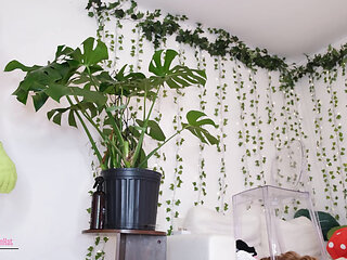 Plant Leaf Cleaning