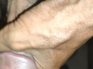 Javanese Dick