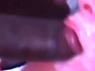 Big Omar's British Adventures: Rear Window Cleaner (2001)