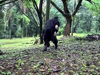 Shemale Mistress with Big Cock Dominates Bound Sex Slave in Dungeon