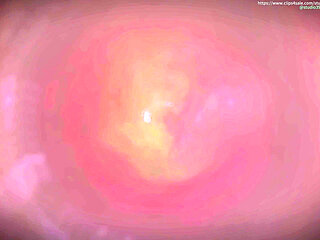 B035 Shrinking Man Gets Swallowed by Asian Beauty's Pussy