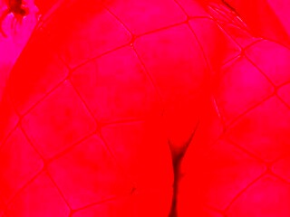Ama Ginnix cumple fantasa a sumiso/dominatrix,findom,femdom,bdsm