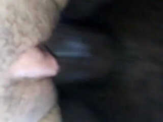 Chubby Slut Gets Woke up for Head and Pussy