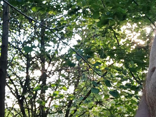 Quick wank in the woods