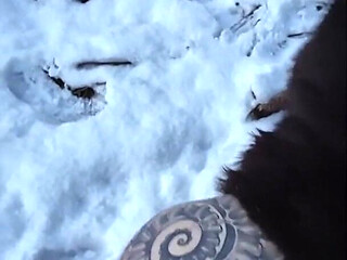 I Warm His in the Snow