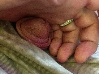 Piss Pig Fag boy
