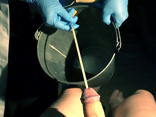 POV Patient. Sounding and Placing a Catheter