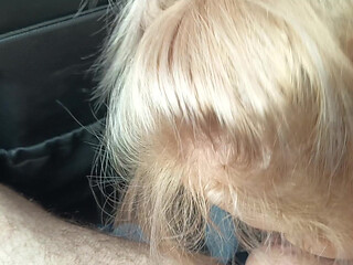 Whore in the Car 2