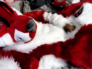 Jerking off and Showing Footpaws in Full-body Fursuit