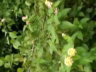 FuckMyIndianGF - Indian GF Sex Videos