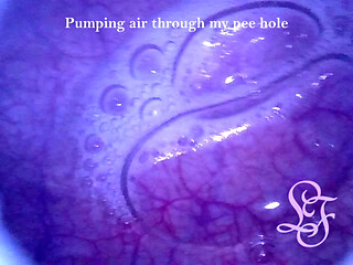 I really love taking a look into my deepest insides!