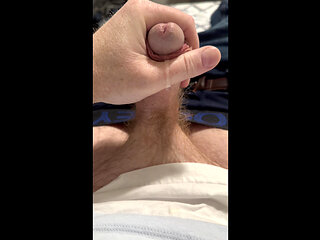 Ginger bear Precum