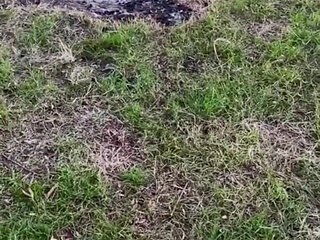 I Walk Without Panties in Nature. and I Jerk off My Excited Pussy by the Fire